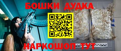 mdpv Лесосибирск
