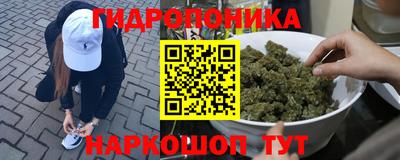 mdpv Лесосибирск